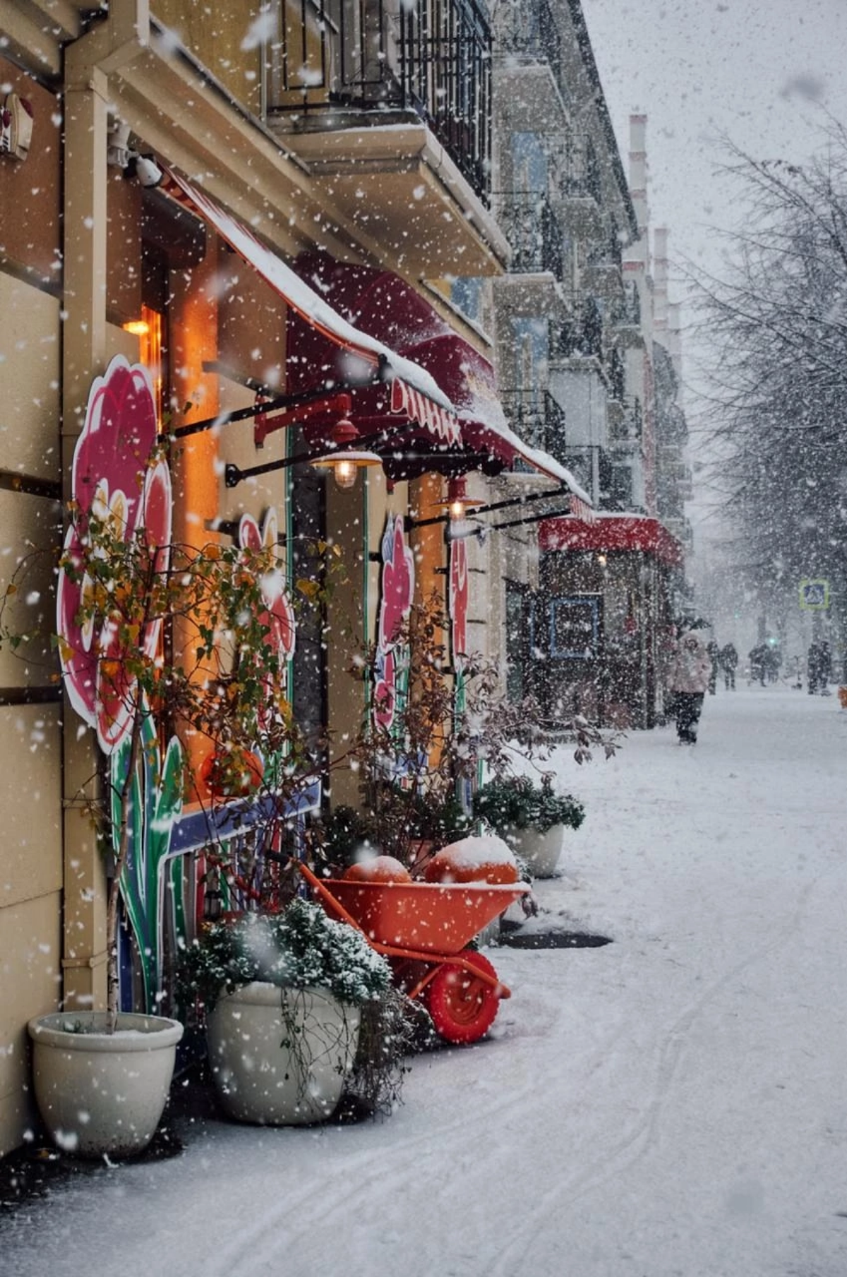 Зимний снежный Калининград ❄️
#фотографии | Сетка — социальная сеть от hh.ru