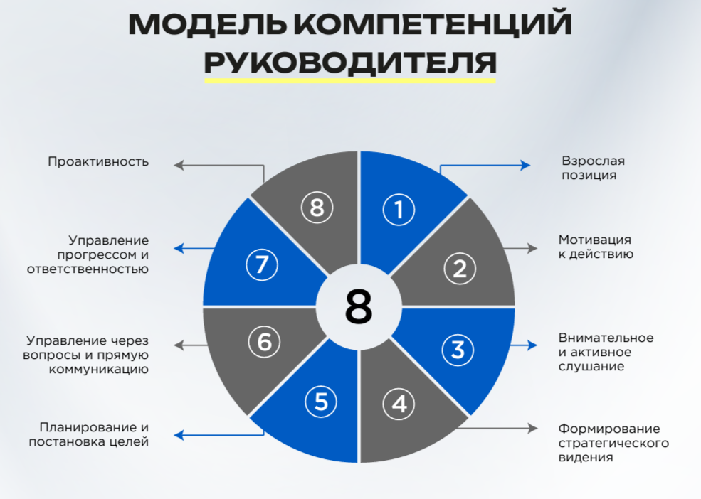 Сетка — социальная сеть от hh.ru