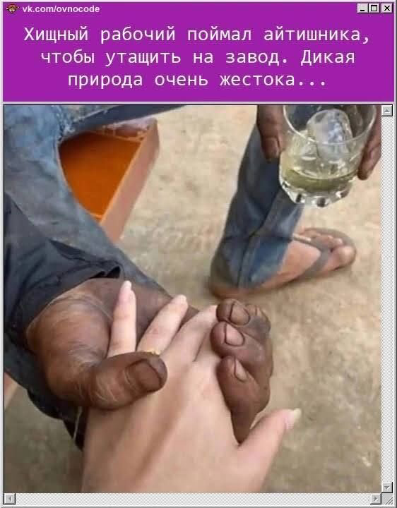 Каждый раз хихикаю | Сетка — социальная сеть от hh.ru