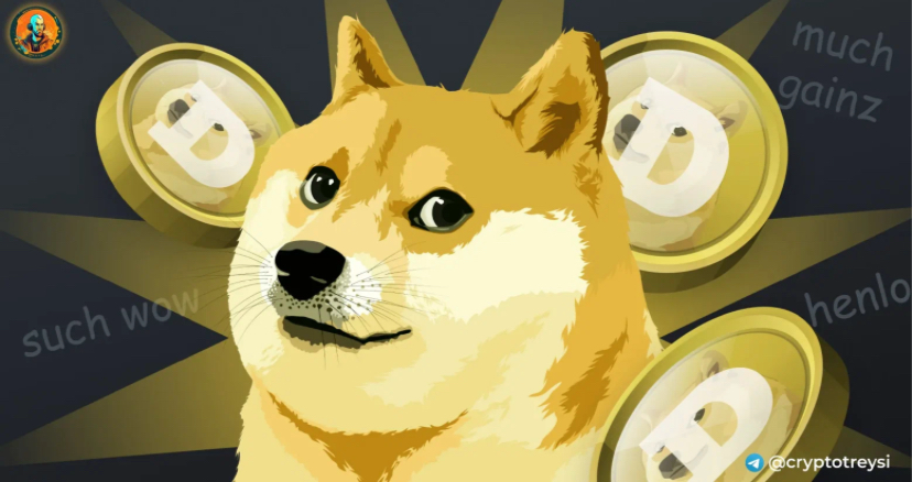 DOGE исполнилось 11 лет | Сетка — социальная сеть от hh.ru
