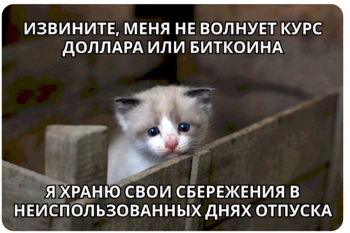 Лови лайфхак | Сетка — социальная сеть от hh.ru