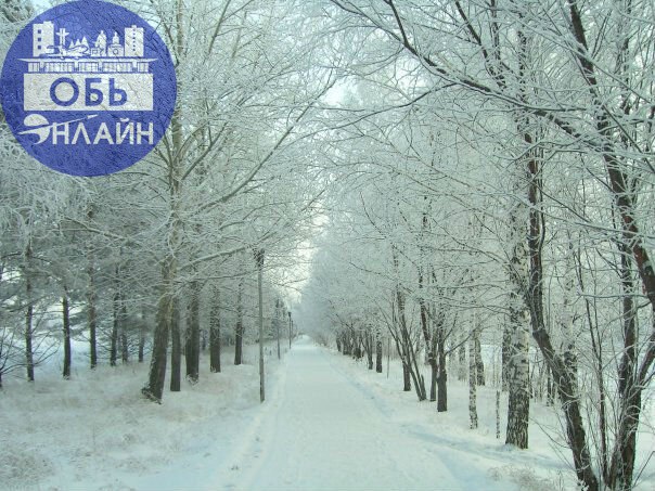 ↗ 8 декабря
Международный день художника.
Приметы
Клим, Клим Холодный, Климент, климентьев день.
На Клима зима клин клином вышибает.
Мороз в этот день лютый случается, мужика погоняет | Сетка — социальная сеть от hh.ru