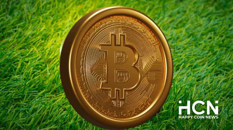 CryptoQuant: биткоину грозит нестабильный конец 2024 года | Сетка — социальная сеть от hh.ru