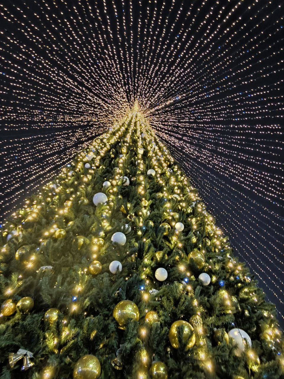 🎄 А такую замечательную ёлку зажгли вчера в Ессентуках
Город-курорт полностью готовы к празднованию нового года.
📷 от подписчицы
@sravdvor | Сетка — социальная сеть от hh.ru