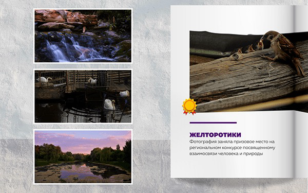 Фотография, как искусство.
Вот такой проект сделала чтобы показать некоторые свои работы.
#фотография | Сетка — социальная сеть от hh.ru