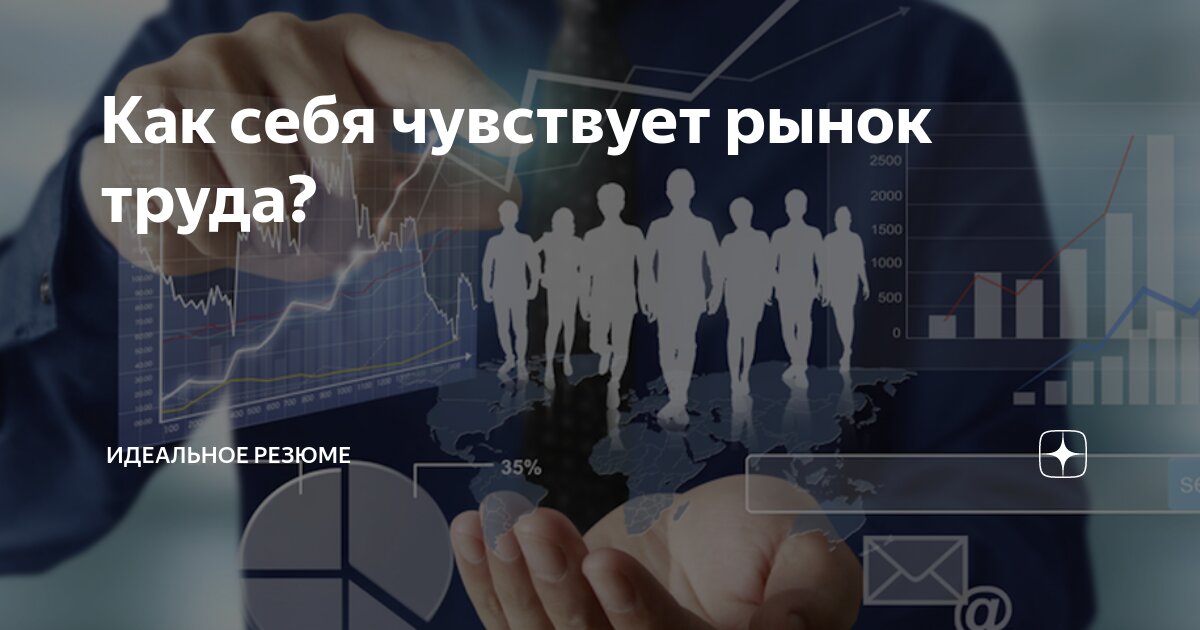 Мои постоянные читатели хорошо знают, что я внимательно слежу за рынком труда и держу руку на пульсе изменений | Сетка — социальная сеть от hh.ru