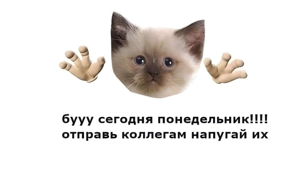 ➡️ отправь в телеге мем коллеге | Сетка — социальная сеть от hh.ru