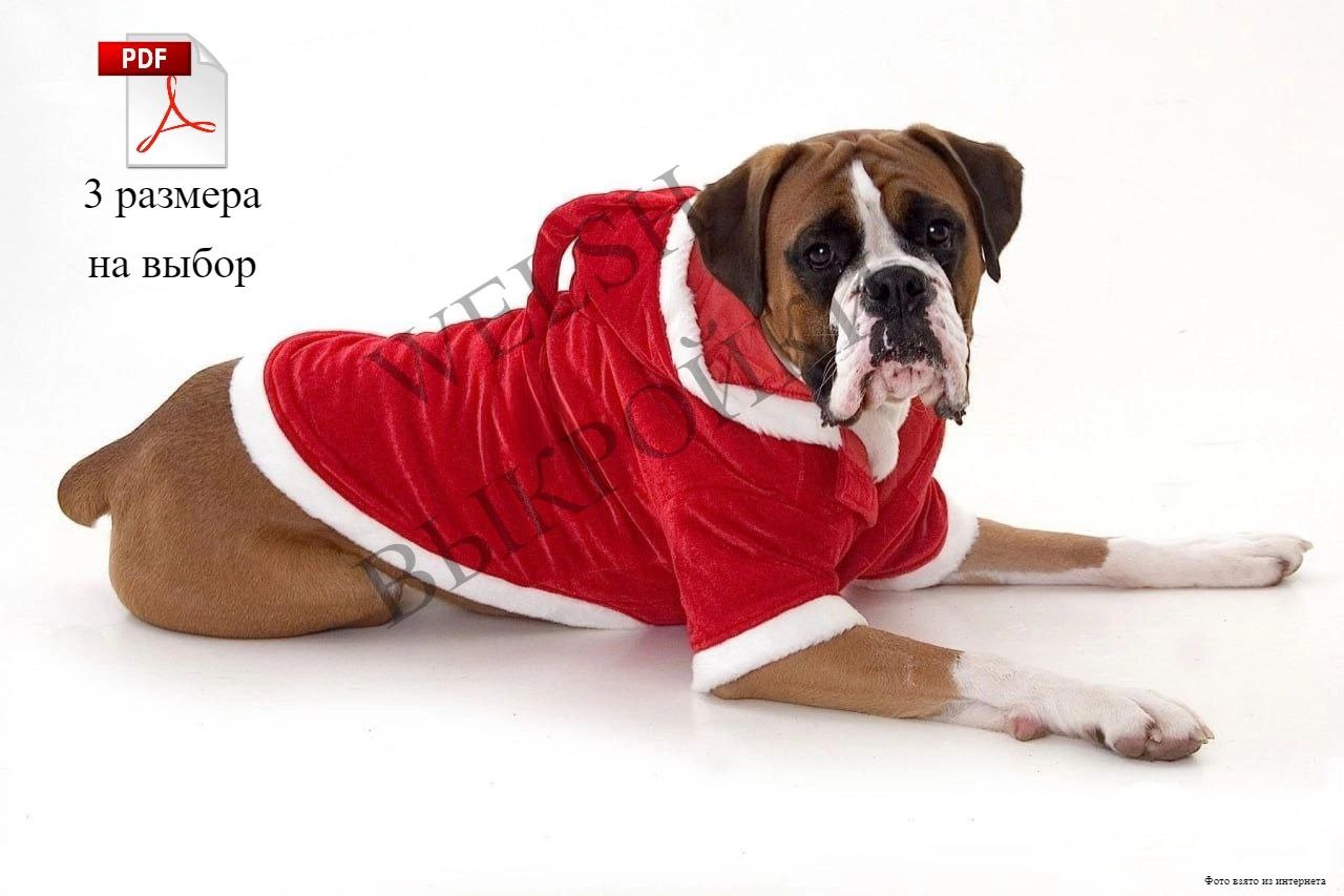 🎄 Выкройка новогоднего костюма на собак крупных пород 🐾
✨ Дорогие друзья, по вашим просьбам мы построили выкройку новогоднего костюма для больших пушистиков! 🐕🎅 Костюм прост в пошиве (справится даже н... | Сетка — социальная сеть от hh.ru