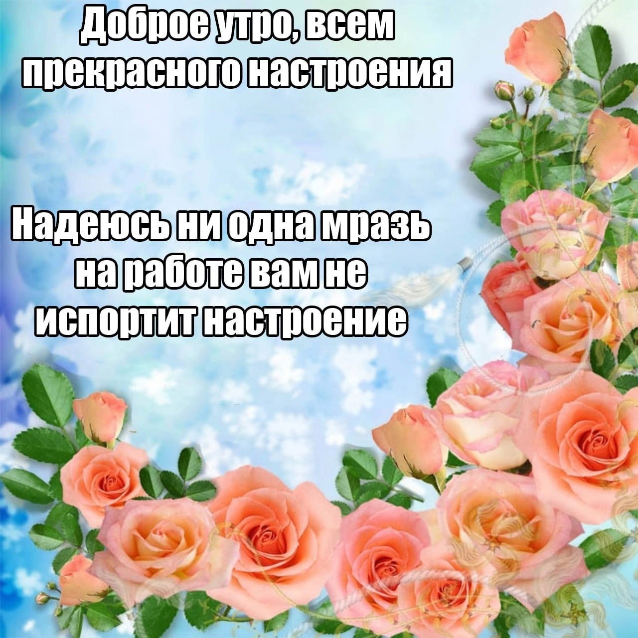 ➡️ отправь в телеге мем коллеге | Сетка — социальная сеть от hh.ru