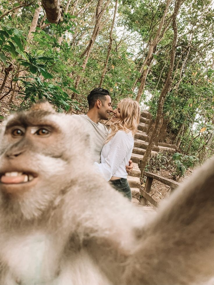 Лучшее в путешествиях
https://procreator.top/travel-advantage-mwr-life | Сетка — социальная сеть от hh.ru