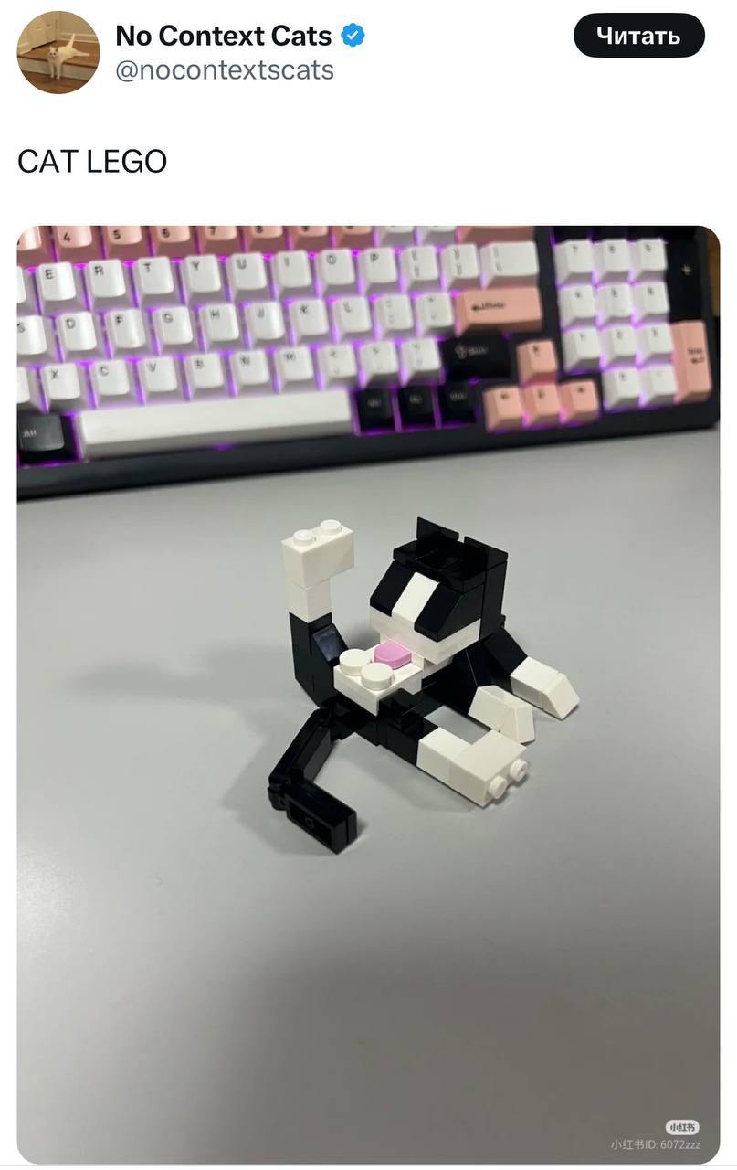 Lego стали выпускать реалистичные конструкторы, изображающие кошек.
🍕 Подписаться на Telegram канал | Сетка — социальная сеть от hh.ru