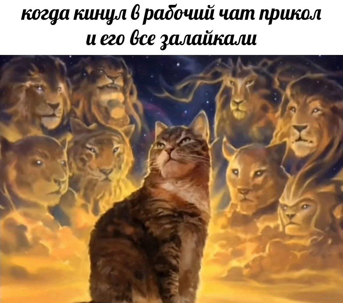 ➡️ отправь в телеге мем коллеге | Сетка — социальная сеть от hh.ru