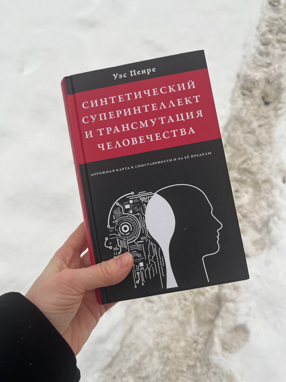 ❄️ братцы, у нас тут столько снега, и он продолжается ☃️
горшочек, не вари 🙏
ходила в магазин и пожалела, что без лопаты ✨
на этой неделе я читаю книгу-страшилку Уэса Пенре «Синтетический суперинтелле... | Сетка — социальная сеть от hh.ru