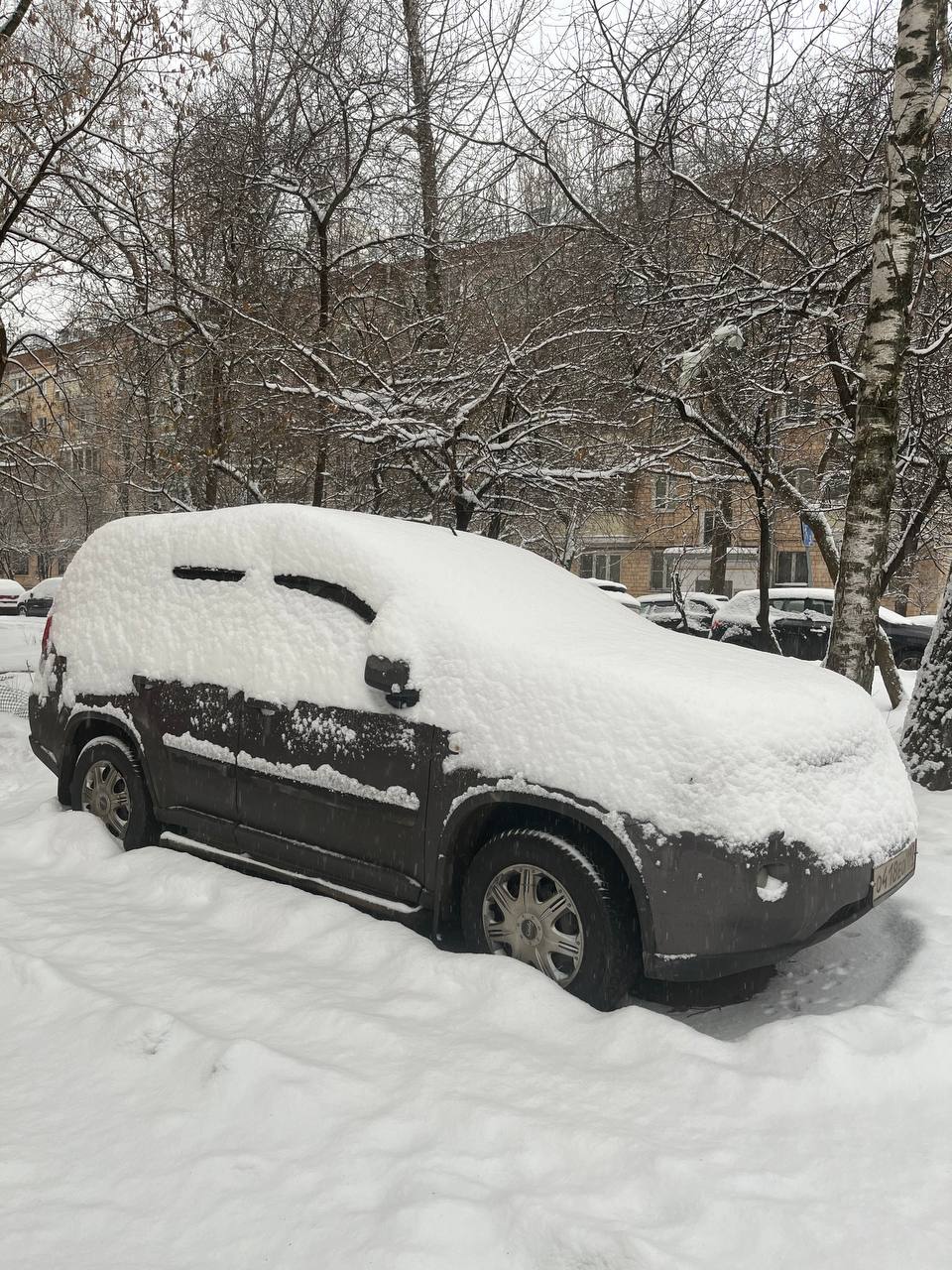 ❄️ братцы, у нас тут столько снега, и он продолжается ☃️
горшочек, не вари 🙏
ходила в магазин и пожалела, что без лопаты ✨
на этой неделе я читаю книгу-страшилку Уэса Пенре «Синтетический суперинтелле... | Сетка — социальная сеть от hh.ru
