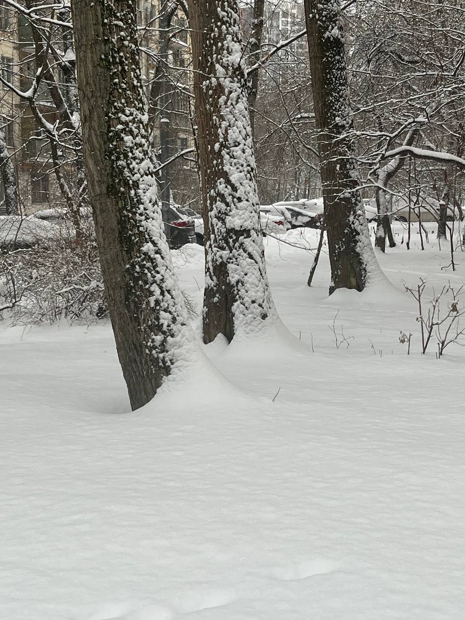 ❄️ братцы, у нас тут столько снега, и он продолжается ☃️
горшочек, не вари 🙏
ходила в магазин и пожалела, что без лопаты ✨
на этой неделе я читаю книгу-страшилку Уэса Пенре «Синтетический суперинтелле... | Сетка — социальная сеть от hh.ru
