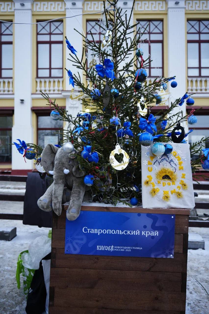 🎄Ставропольскую ёлку представили в Новогодней столице России
В этом году масштабный фестиваль ёлок прошел в Кирове | Сетка — социальная сеть от hh.ru