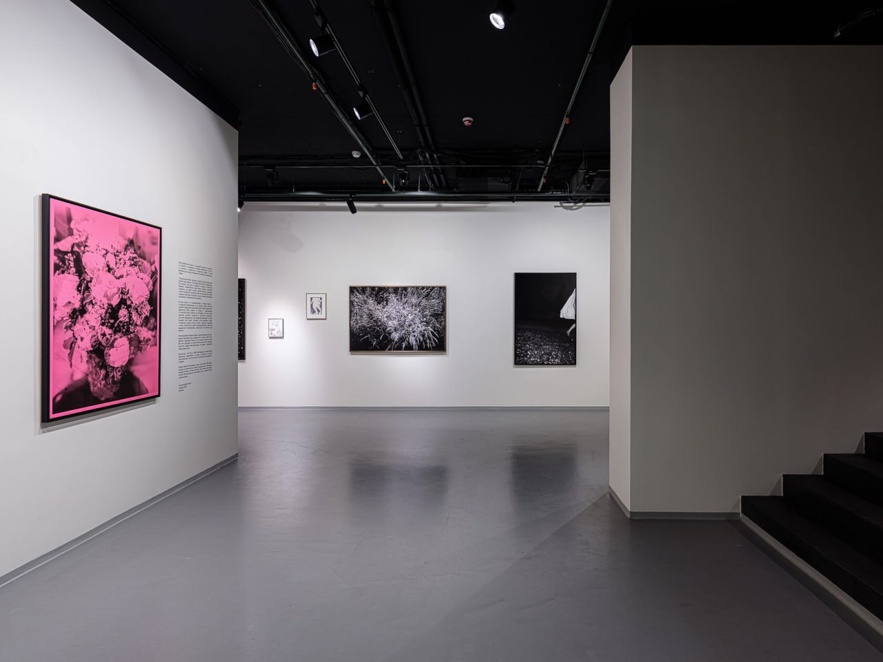 🖼Бесплатная выставка «Пасхальный букет» в Serene Gallery
До 18 января
Вт-Сб 12:00-20:00
Серия «Пасхальный букет» – результат резиденции в Foundation des Artists, где художница провела год, наблюдая за... | Сетка — социальная сеть от hh.ru