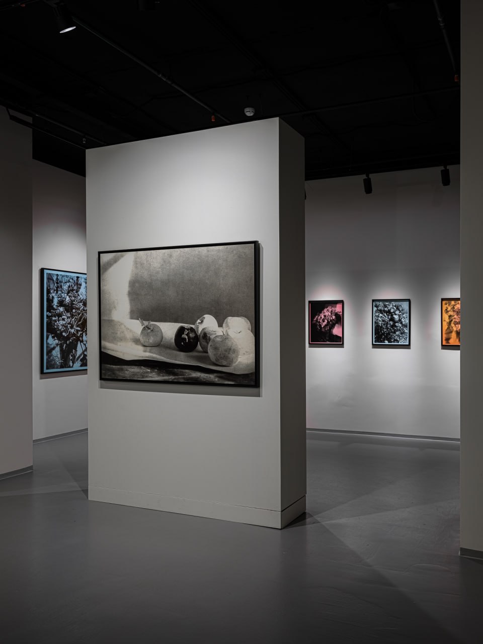 🖼Бесплатная выставка «Пасхальный букет» в Serene Gallery
До 18 января
Вт-Сб 12:00-20:00
Серия «Пасхальный букет» – результат резиденции в Foundation des Artists, где художница провела год, наблюдая за... | Сетка — социальная сеть от hh.ru