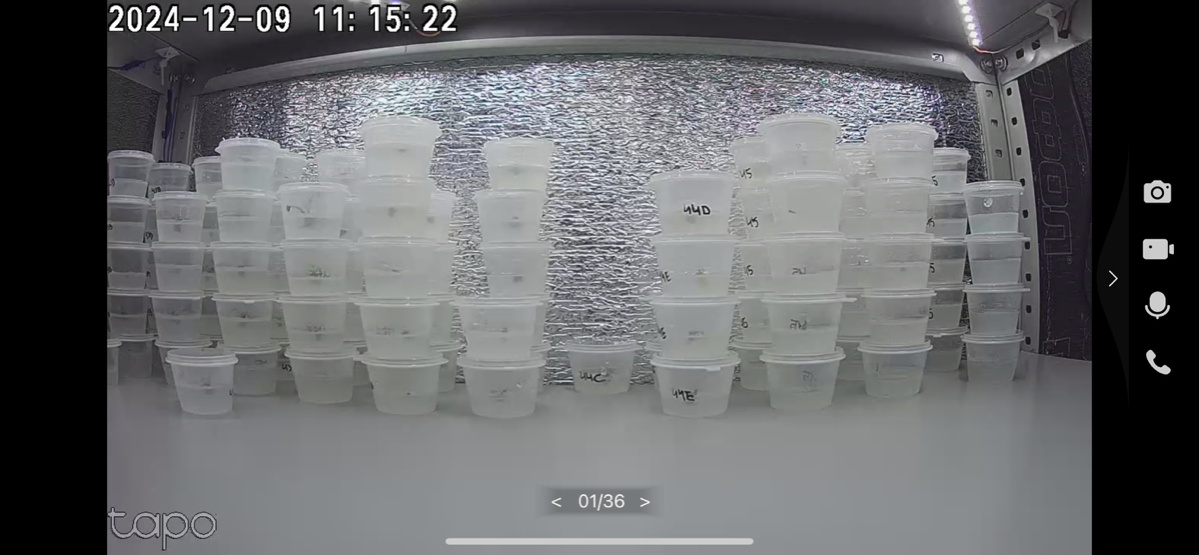 Статус по микроклонированию | Сетка — социальная сеть от hh.ru