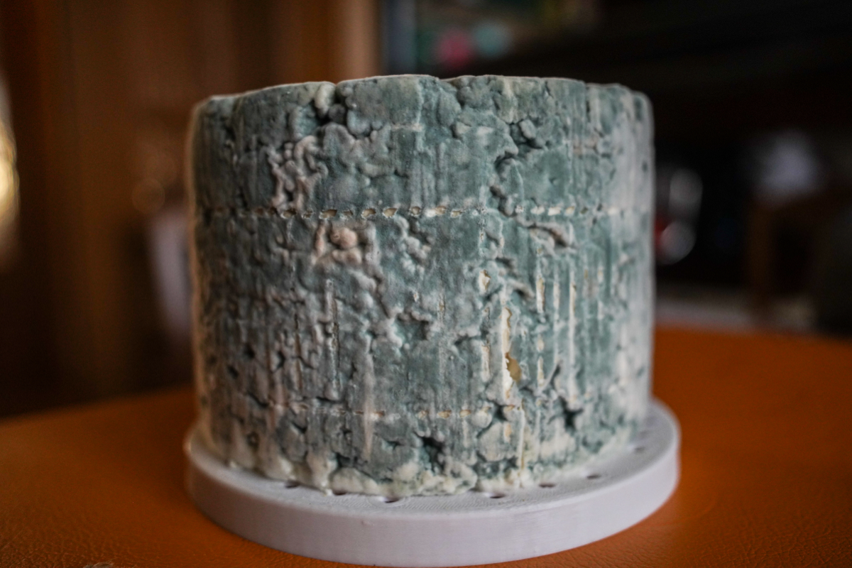 А сыр тем временем зарастает плесенью | Сетка — социальная сеть от hh.ru