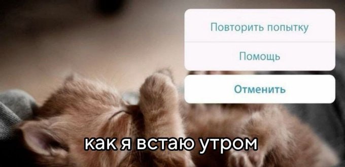 ➡️ отправь в телеге мем коллеге | Сетка — социальная сеть от hh.ru