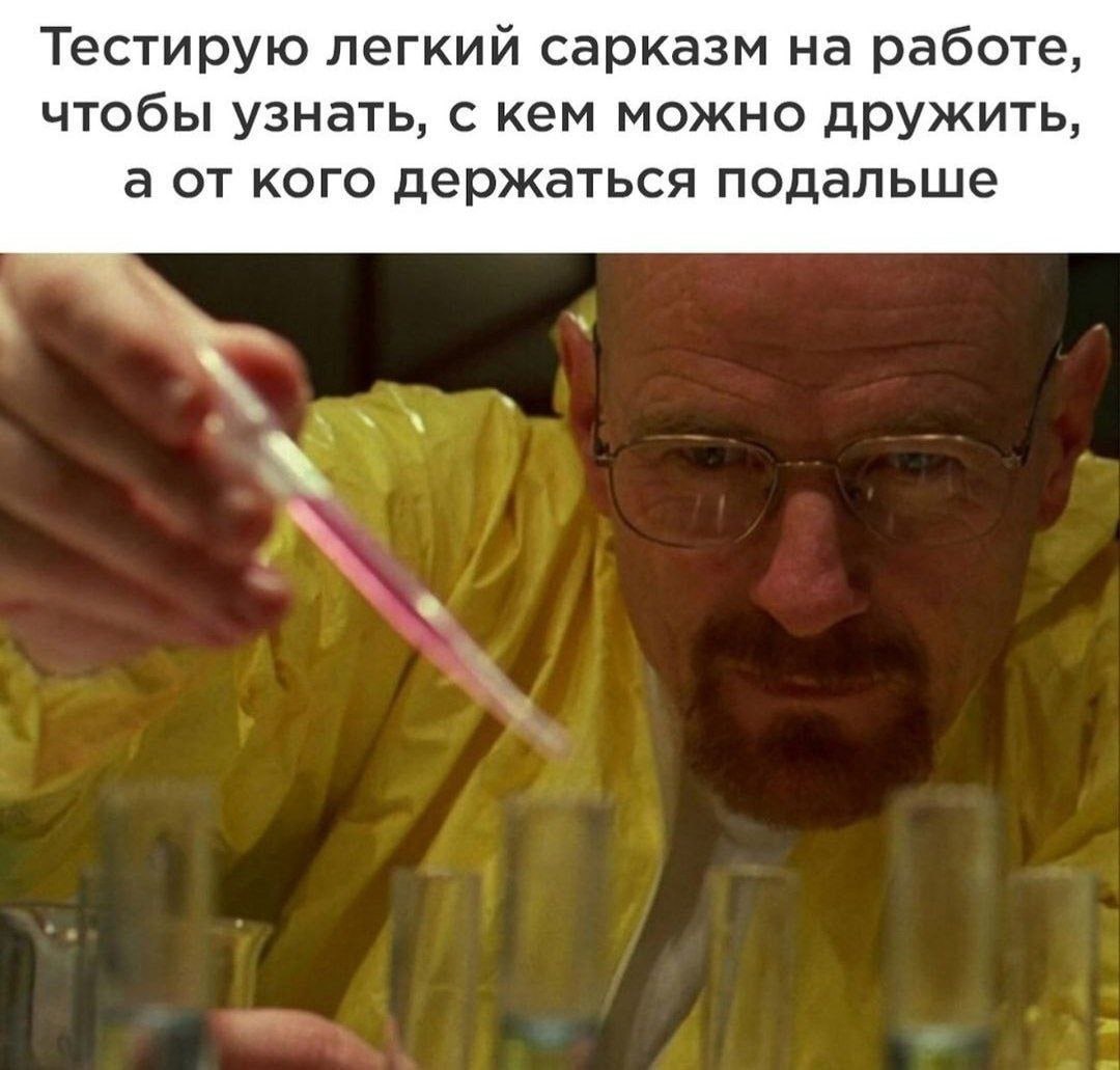 ➡️ отправь в телеге мем коллеге | Сетка — социальная сеть от hh.ru