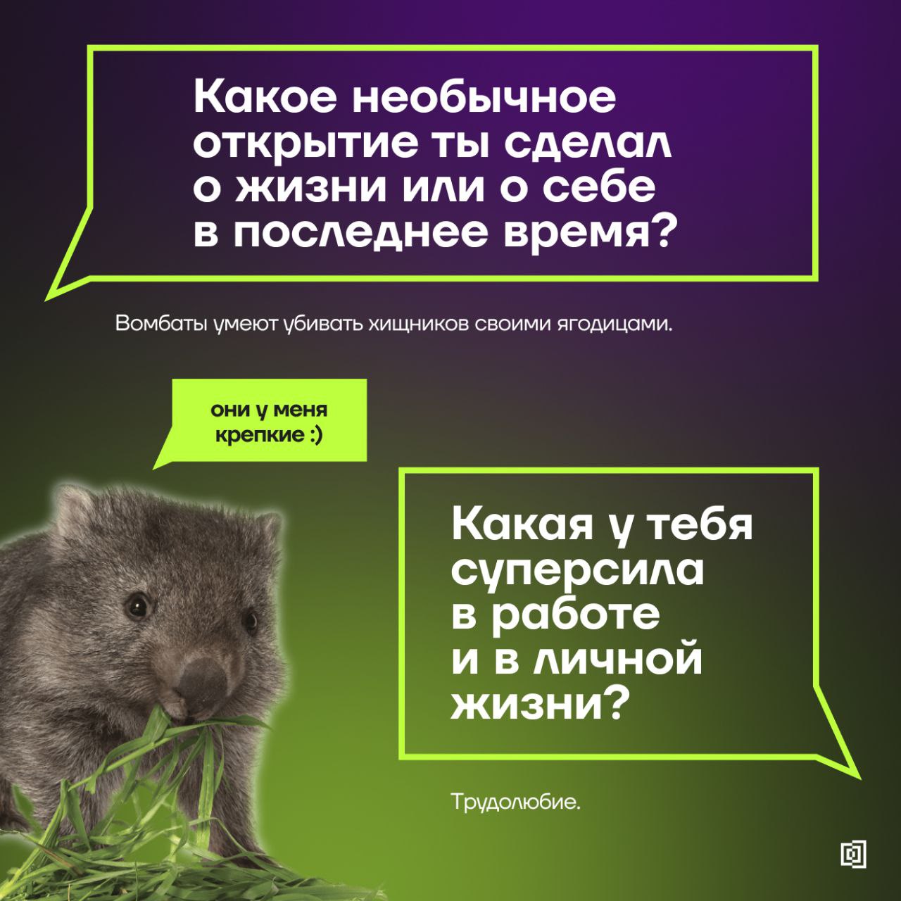 Знакомимся с амбассадорами Клуба резидентов
↖️ Сегодняшние карточки – о Владиславе Иванове, CISO Health & Nutrition | Сетка — социальная сеть от hh.ru