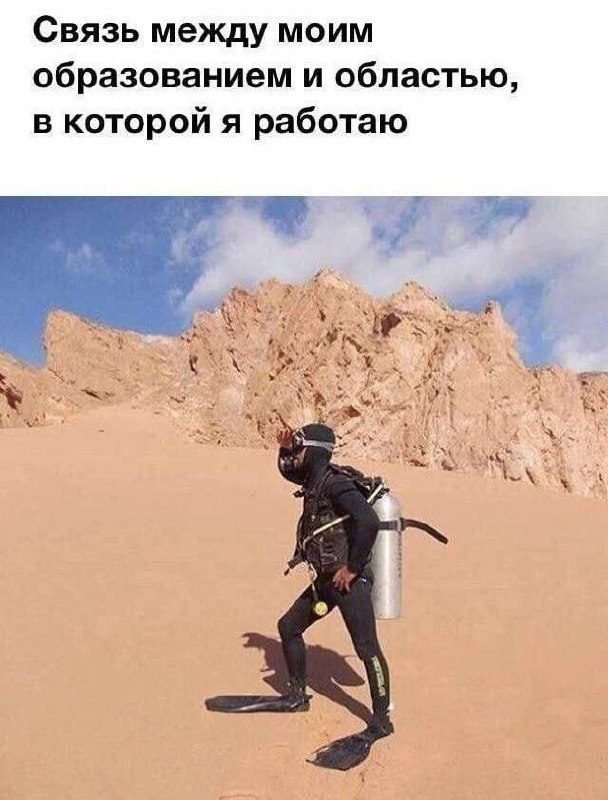 ➡️ отправь в телеге мем коллеге | Сетка — социальная сеть от hh.ru