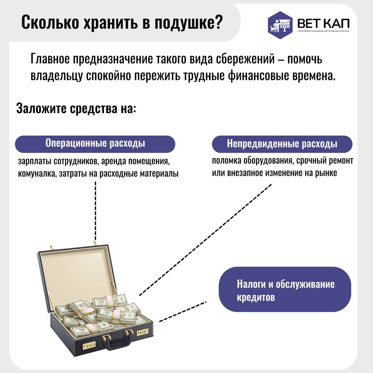 Только те владельцы ветеринарных клиник, у кого есть финансовый резерв, могут уверенно развивать свой бизнес и спокойно спать ночью.😴
Как это сделать? - листай слайды | Сетка — социальная сеть от hh.ru