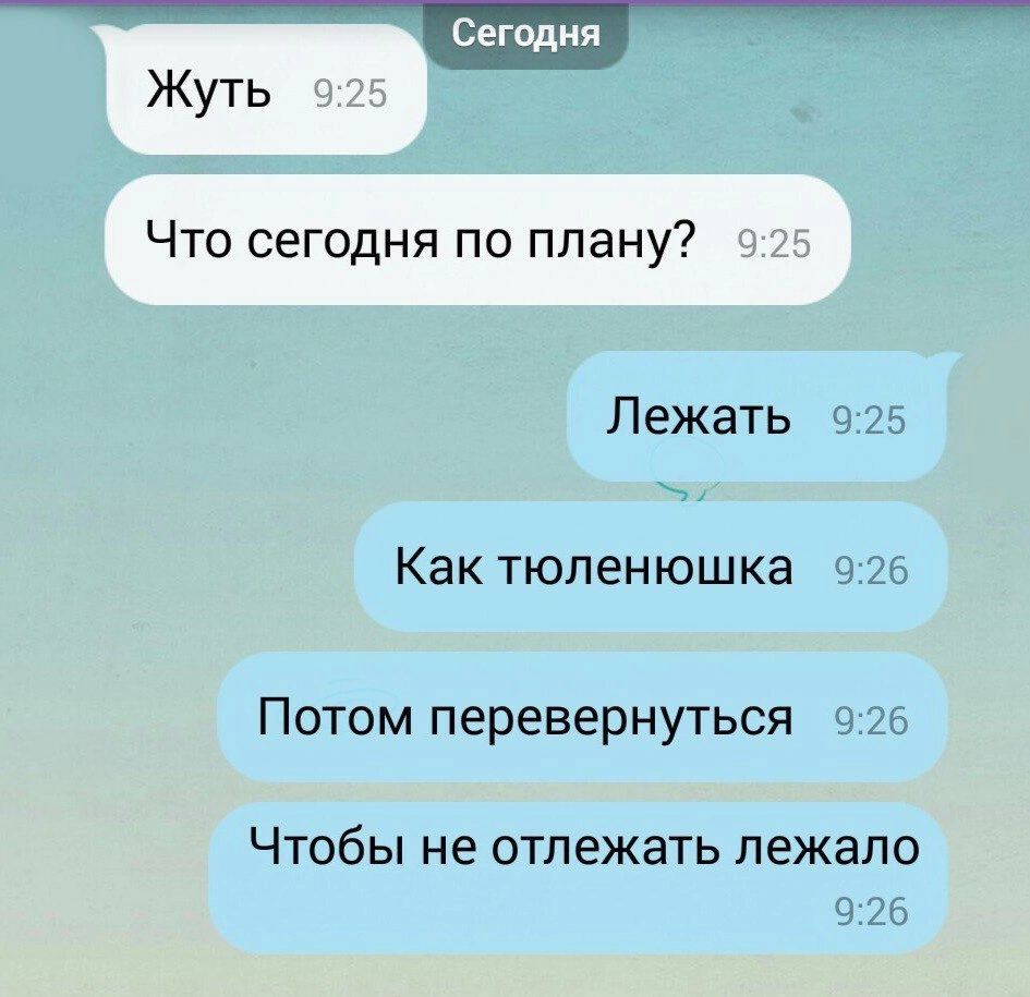 Новогодние каникулы без проектов😜 | Сетка — социальная сеть от hh.ru