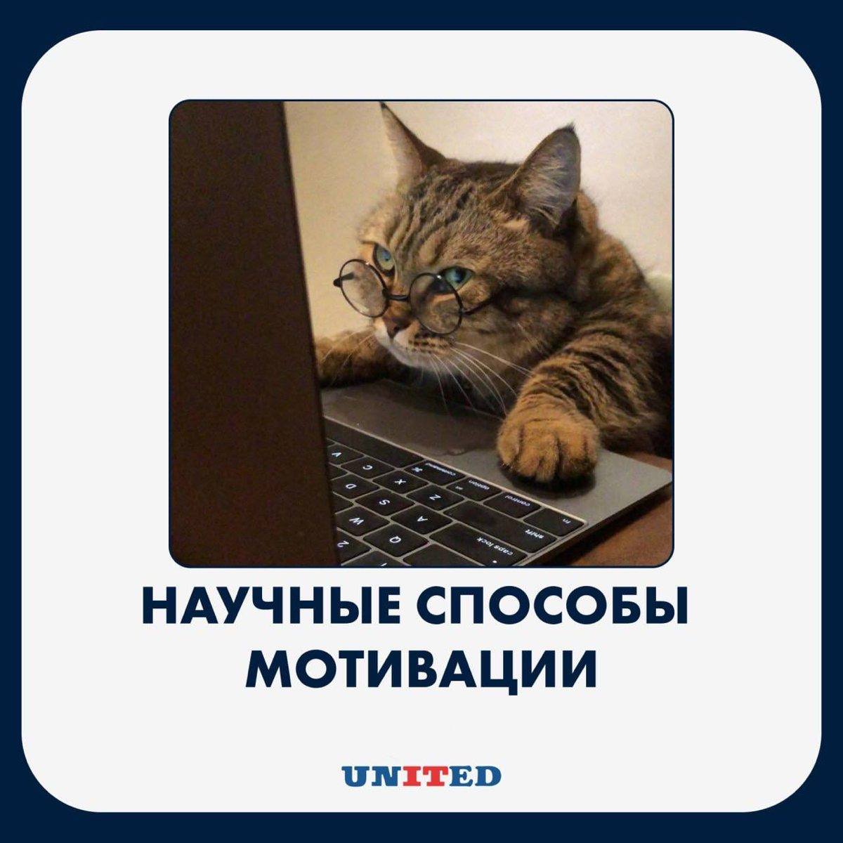 Научные способы мотивации
Устаревшая система поощрения и наказания «кнут и пряник» сейчас почти не работает | Сетка — социальная сеть от hh.ru