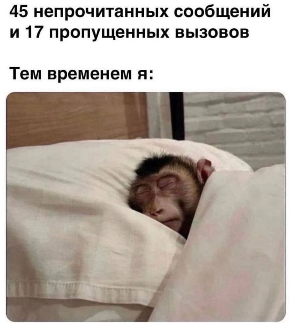 Когда прод упал, а ты немного занят. | Сетка — социальная сеть от hh.ru