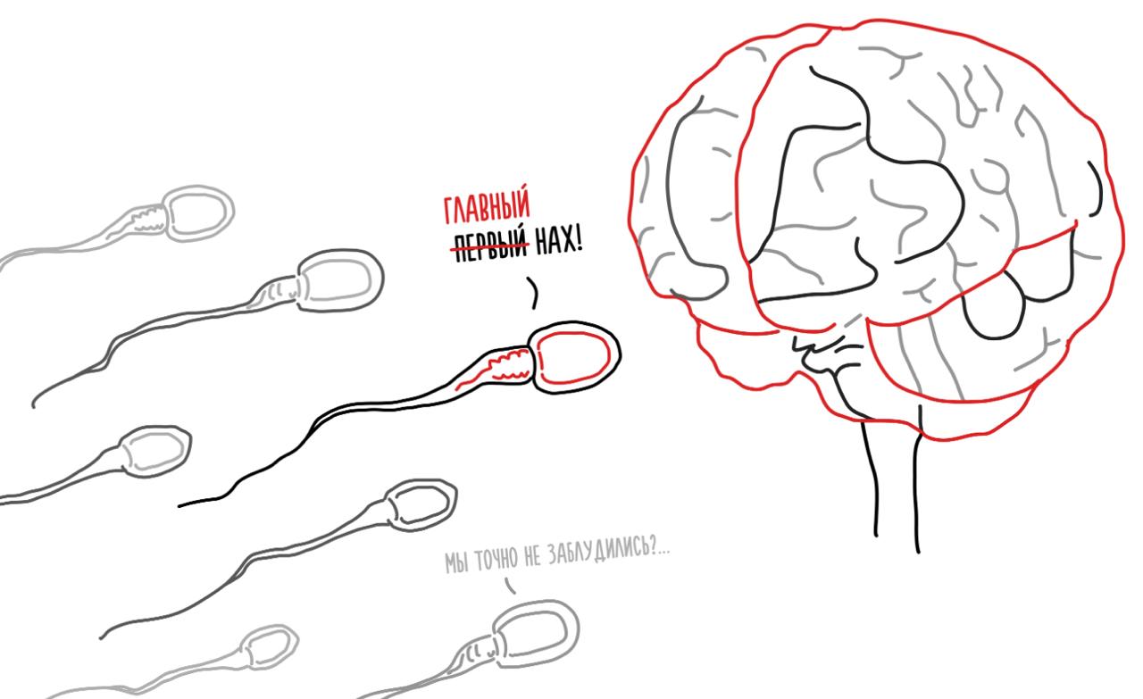 Как не съехать кукухой под Новый год
Декабрь — месяц чудес, волшебства и тотальной истерии. У всех все горит: дедлайны, хвосты, годовые отчеты, несданные проекты | Сетка — социальная сеть от hh.ru