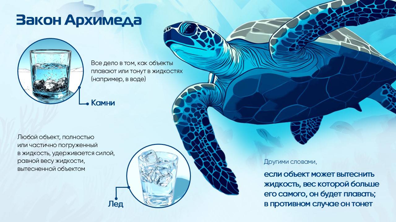 Закрыли еще один интересный проект с постоянным заказчиком
Только представьте, вы пришли на фридайвинг и вам вместо скучных некрасивых слайдов на обучении показывают наши | Сетка — социальная сеть от hh.ru