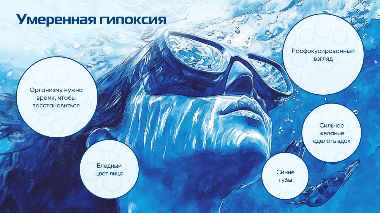 Закрыли еще один интересный проект с постоянным заказчиком
Только представьте, вы пришли на фридайвинг и вам вместо скучных некрасивых слайдов на обучении показывают наши | Сетка — социальная сеть от hh.ru