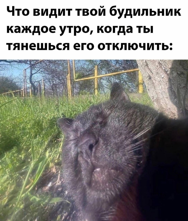 Сетка — социальная сеть от hh.ru