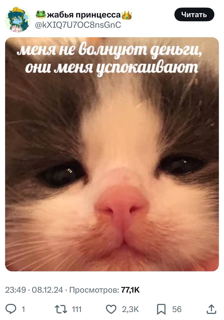 К концу года настроение какое-то такое:
➡️ отправь в телеге мем коллеге | Сетка — социальная сеть от hh.ru