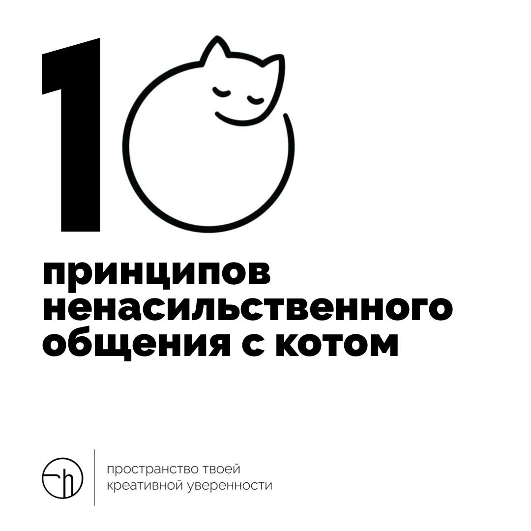 Работайте над собой, коты тоже люди!
#10идейвдень by @creativehappens | Сетка — социальная сеть от hh.ru
