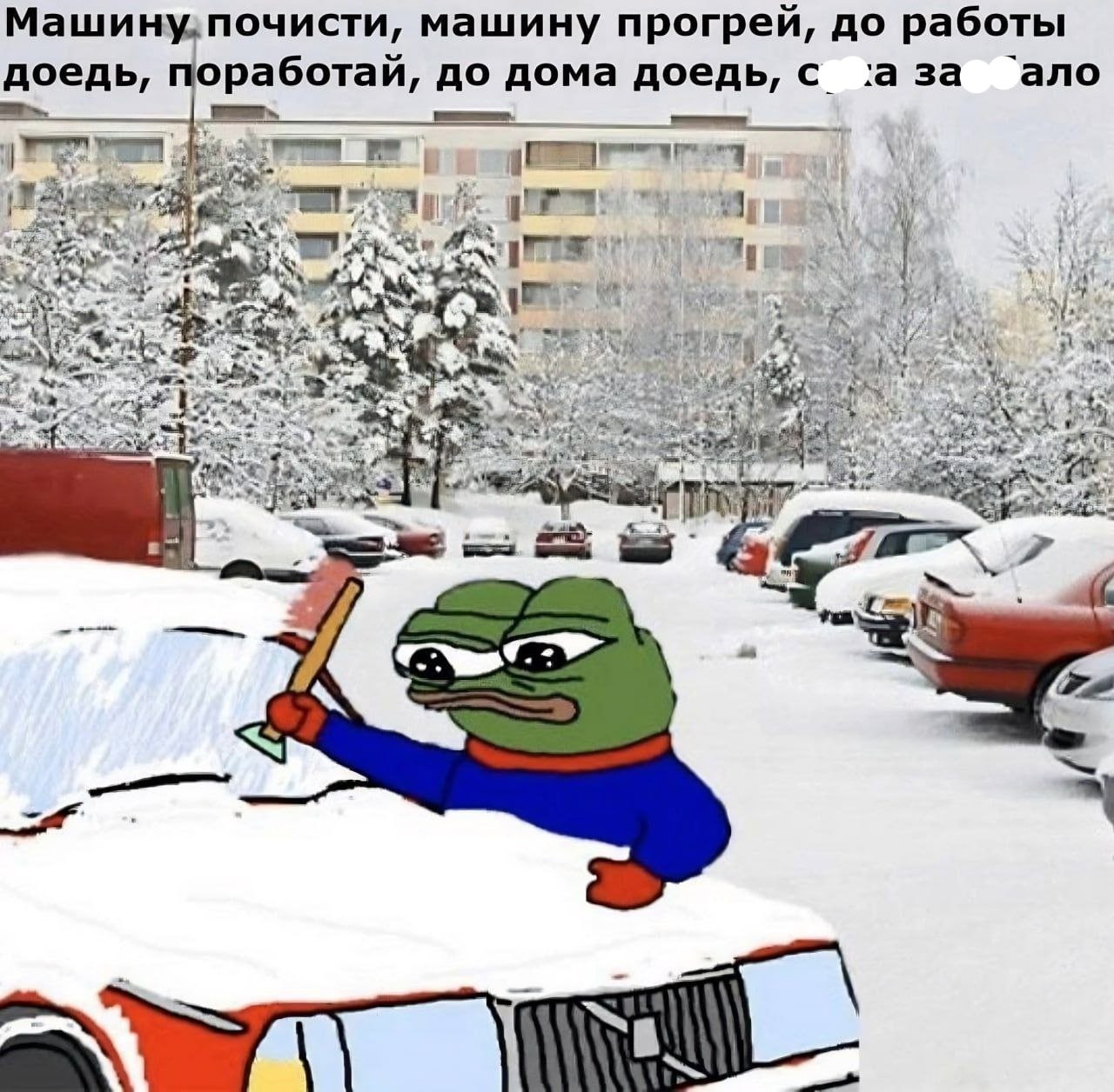 ➡️ отправь в телеге мем коллеге | Сетка — социальная сеть от hh.ru