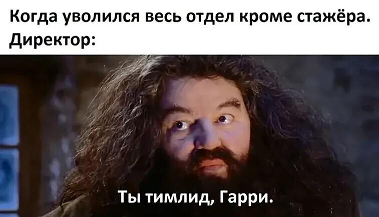 Почему в России некому работать: зумеры «ни-ни», токари за 200 тысяч и короли-курьеры
Кадровый дефицит в России растёт, и причины этого удивляют | Сетка — социальная сеть от hh.ru