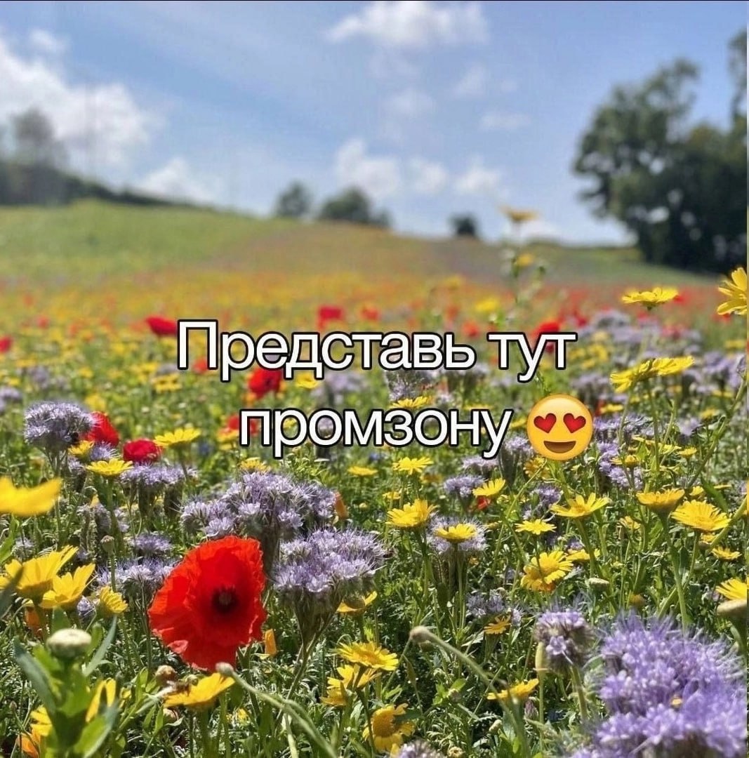 ➡️ отправь в телеге мем коллеге | Сетка — социальная сеть от hh.ru