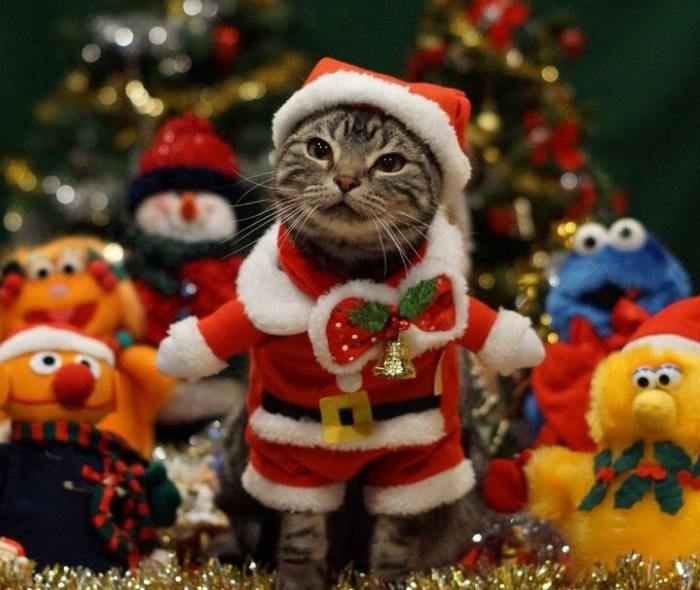 Готовы к новой главе в 2025-м? Вакансии ниже с этим помогут!
🎅 Android-разработчик в VK Музыку, Москва или удалённо
Разбираетесь в Android-разработке, владеете Kotlin или Java и умеете проектировать м... | Сетка — социальная сеть от hh.ru
