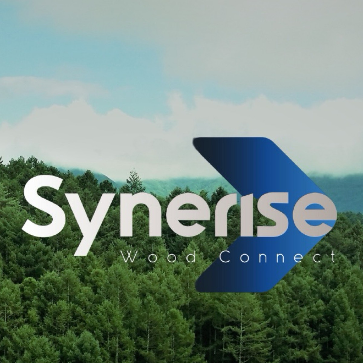 Деревообработка и Лесопромышленность: партнерство и рост