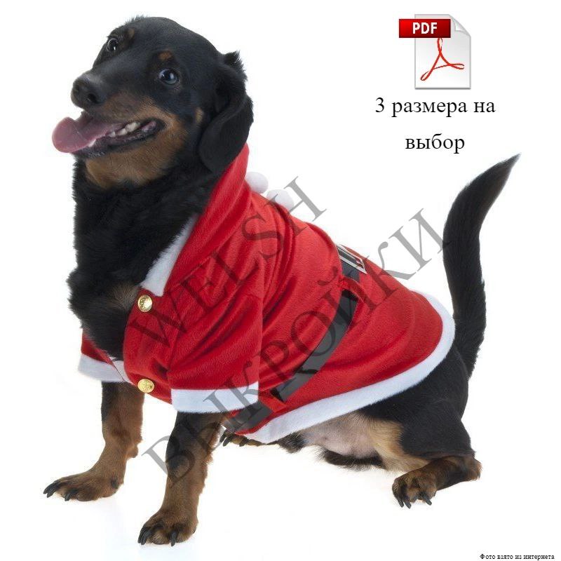 🎄 Выкройка новогоднего костюма на собак крупных пород 🐾
🐕🎅 Костюм прост в пошиве (справится даже начинающий 🧵✂), а ещё здесь есть простор для творчества — можно проявить талант в декорировании костюма | Сетка — социальная сеть от hh.ru