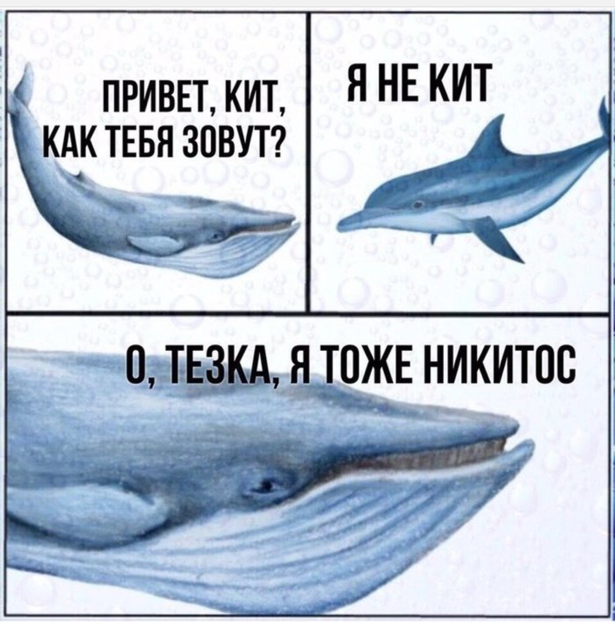 Ржу все утро😁
#пятничное
#career
#project
#product | Сетка — социальная сеть от hh.ru