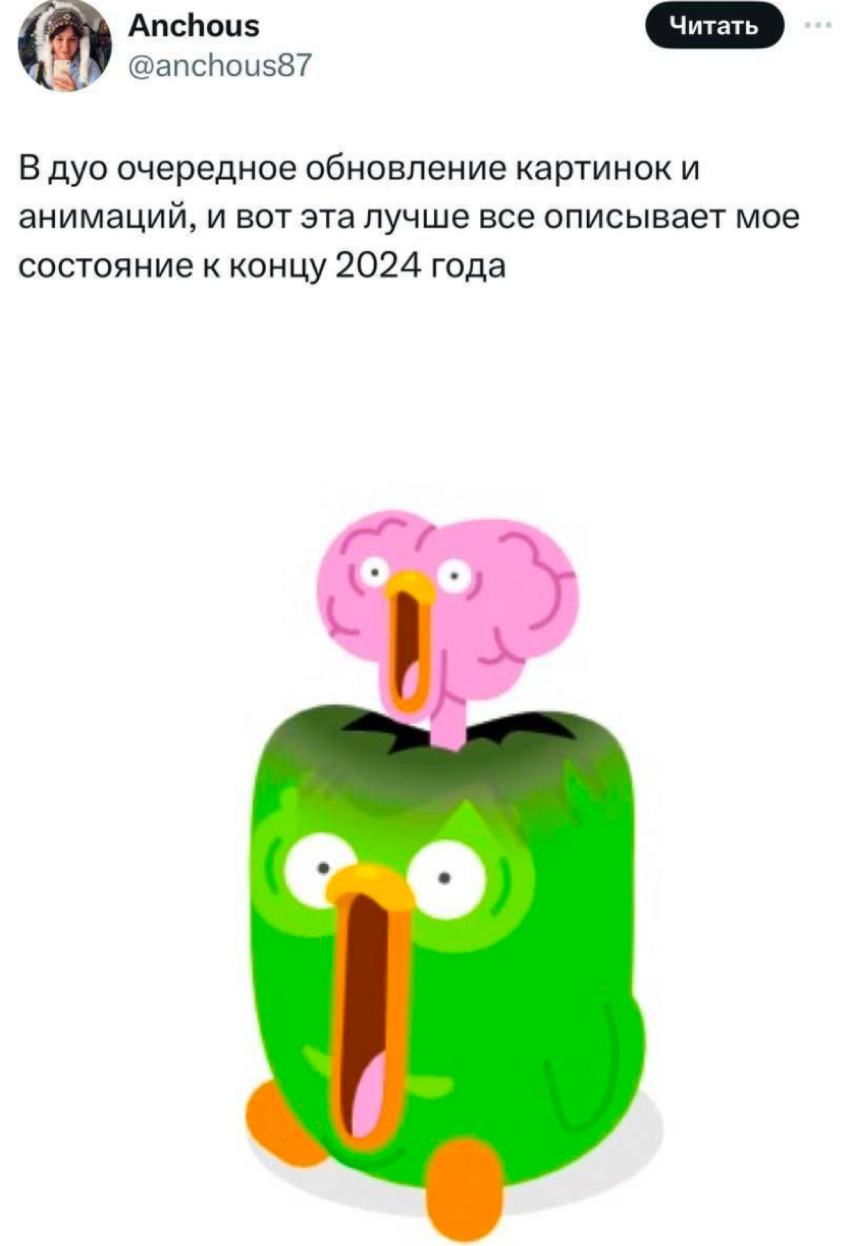 Обожаю Duolingo | Сетка — социальная сеть от hh.ru