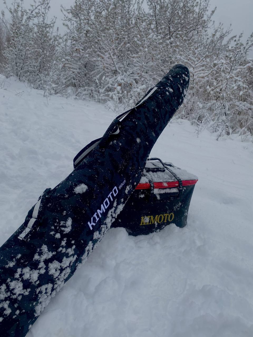 Приветствую, друзья Рыболовы ✌🏻
Побывал вновь на Десногорском Водохранилище, на том же месте, что и в прошлый раз! Только условия ловли были на много хуже: прохладный боковой ветер, очень много осадко... | Сетка — социальная сеть от hh.ru