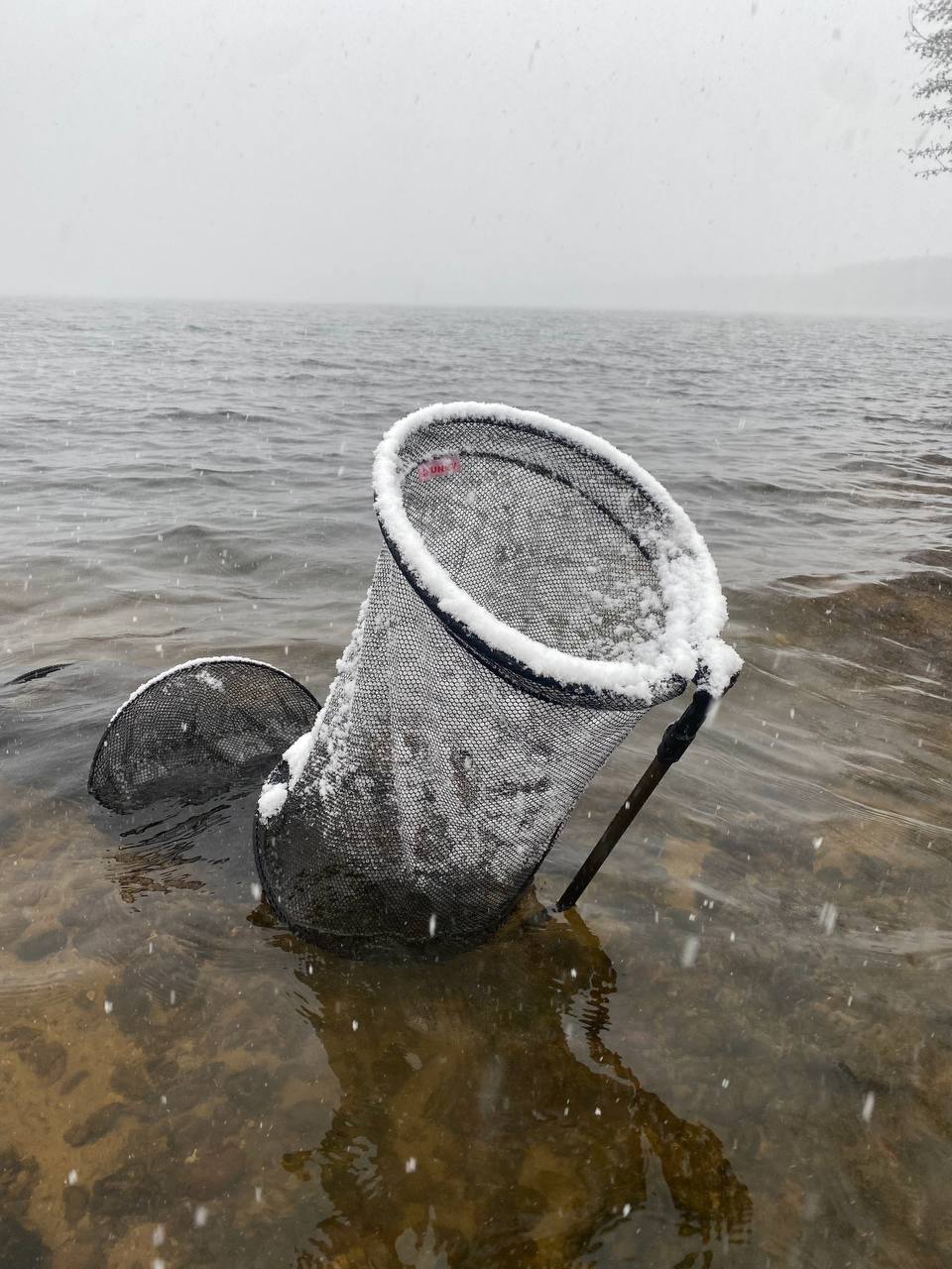Приветствую, друзья Рыболовы ✌🏻
Побывал вновь на Десногорском Водохранилище, на том же месте, что и в прошлый раз! Только условия ловли были на много хуже: прохладный боковой ветер, очень много осадко... | Сетка — социальная сеть от hh.ru