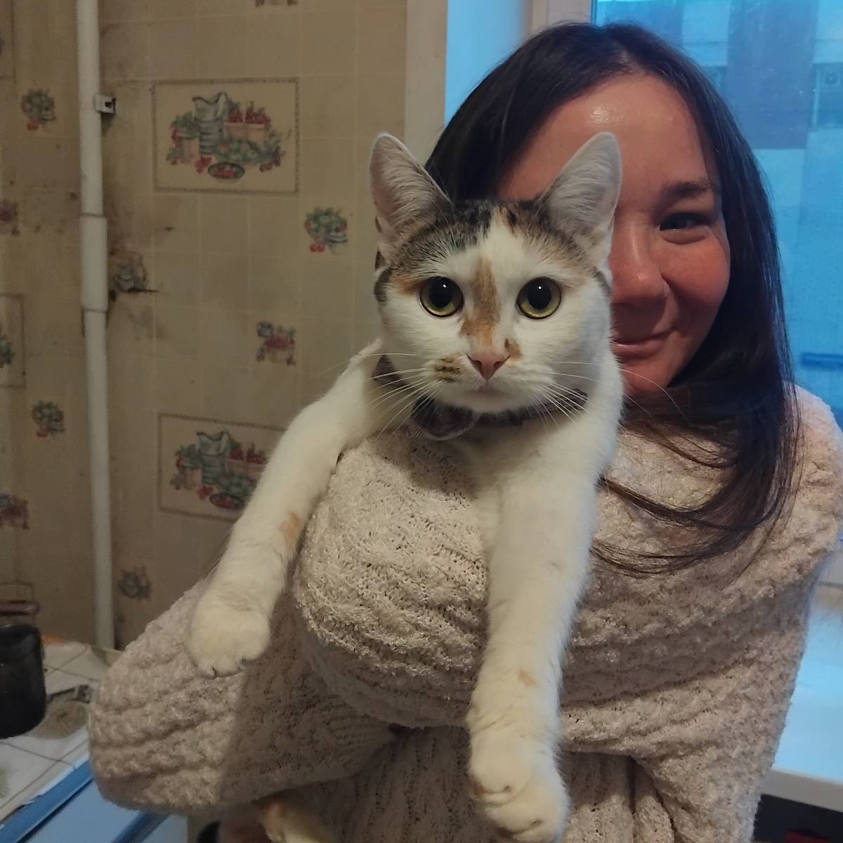 Надиря Шарипова