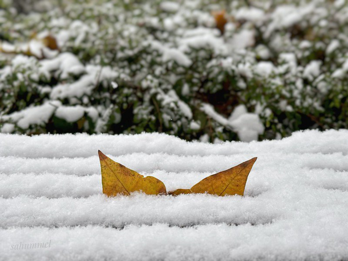 Временное бессмертие: научится ли человек впадать в спячку | Сетка — социальная сеть от hh.ru